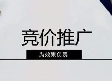 百度競價(jià)托管 (16).jpg