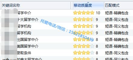 教育培訓行業(yè):出國留學雅思培訓(圖5) 關鍵詞質量度