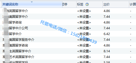 教育培訓行業(yè):出國留學雅思培訓(圖6) 出價